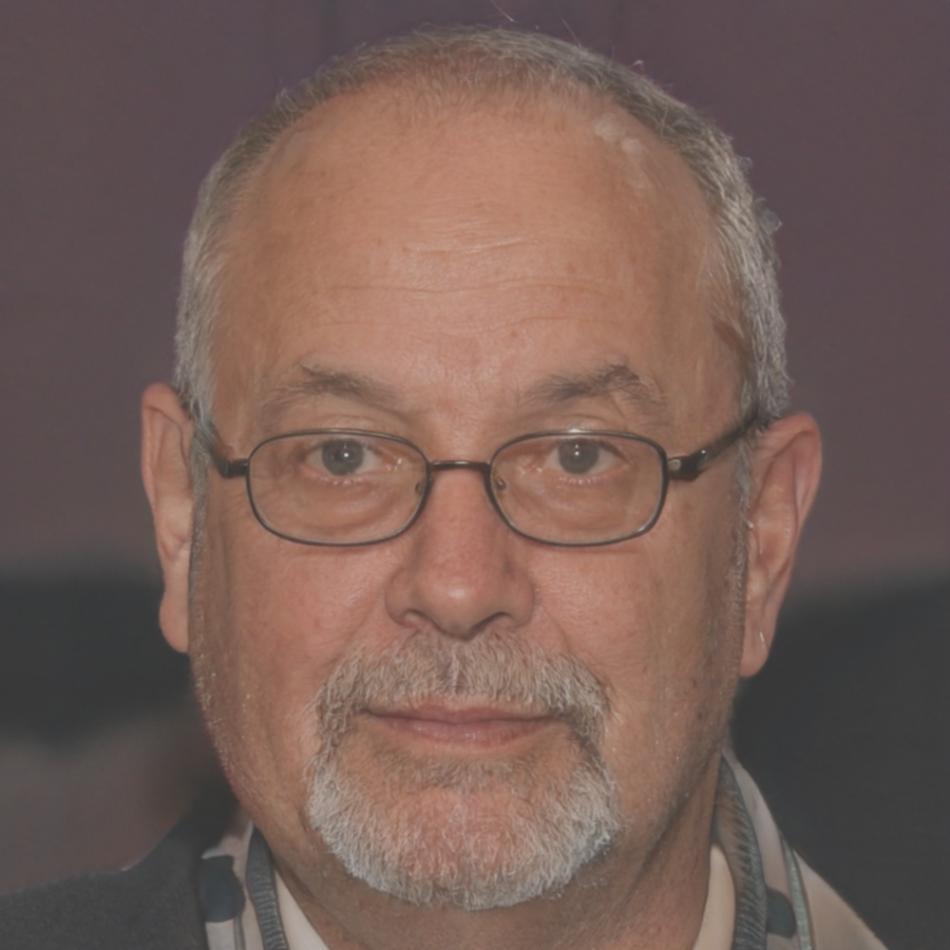 Instructor principal del programa de finanzas